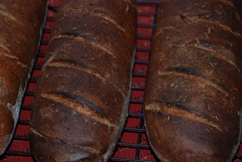 Jewish Corn Rye The Fresh Loaf